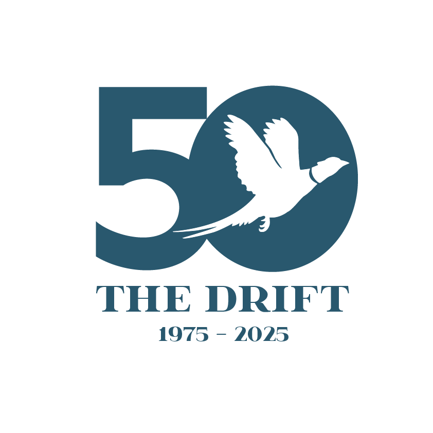 The Drift Logo