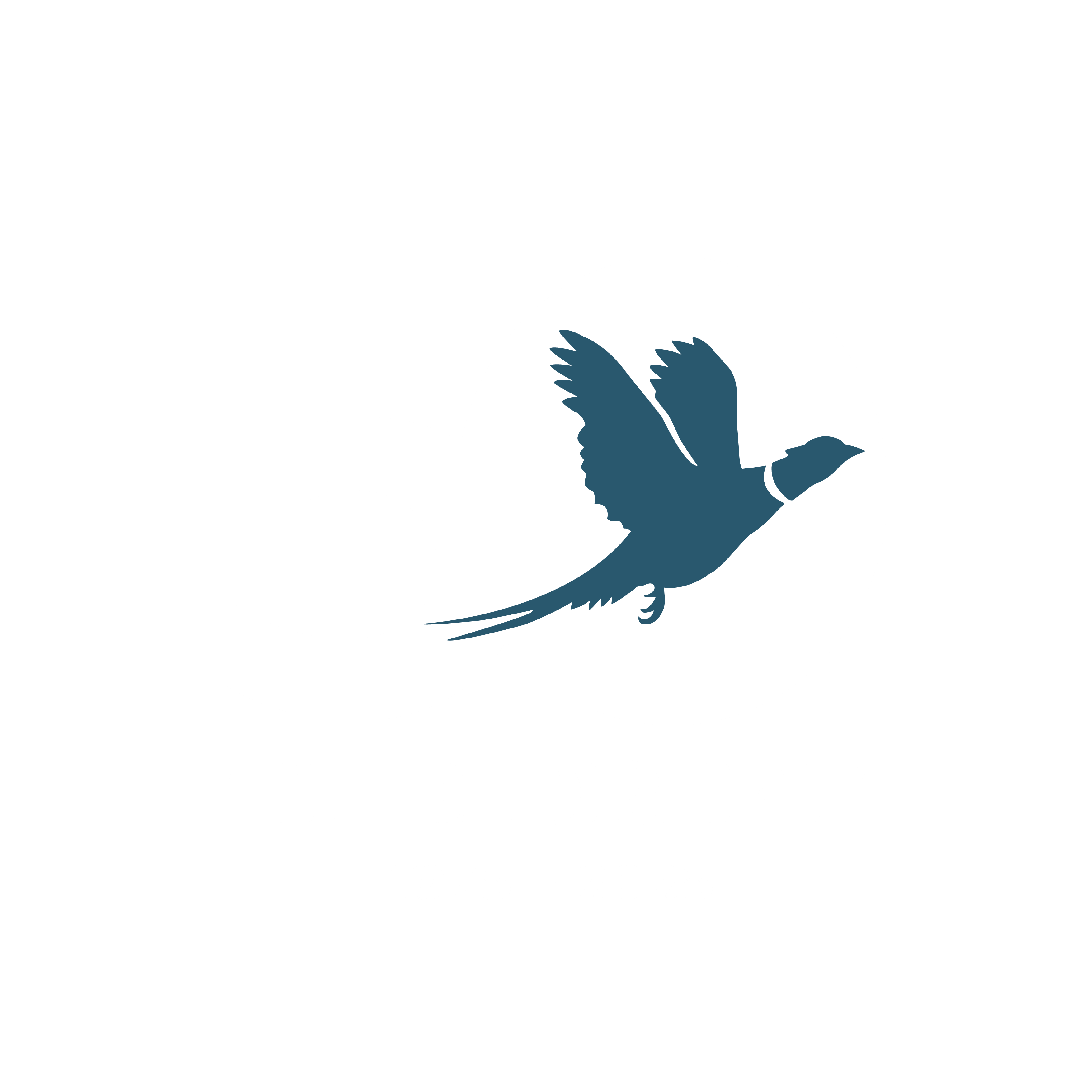 The Drift Logo